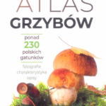 Atlas grzybów