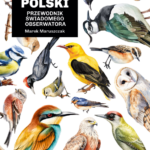 Głupie ptaki Polski. Przewodnik świadomego obserwatora