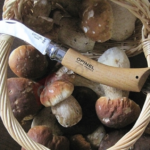 Nóż dla Grzybiarza Opinel 08 - składany