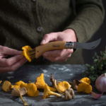 Nóż dla Grzybiarza Opinel 08 - składany