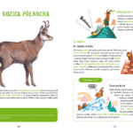 Cwane bestie. Zwierzęta, które szczypią, kłują, strzelają i wysysają krew