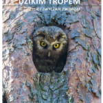 Dzikim tropem. Życie i zwyczaje zwierząt