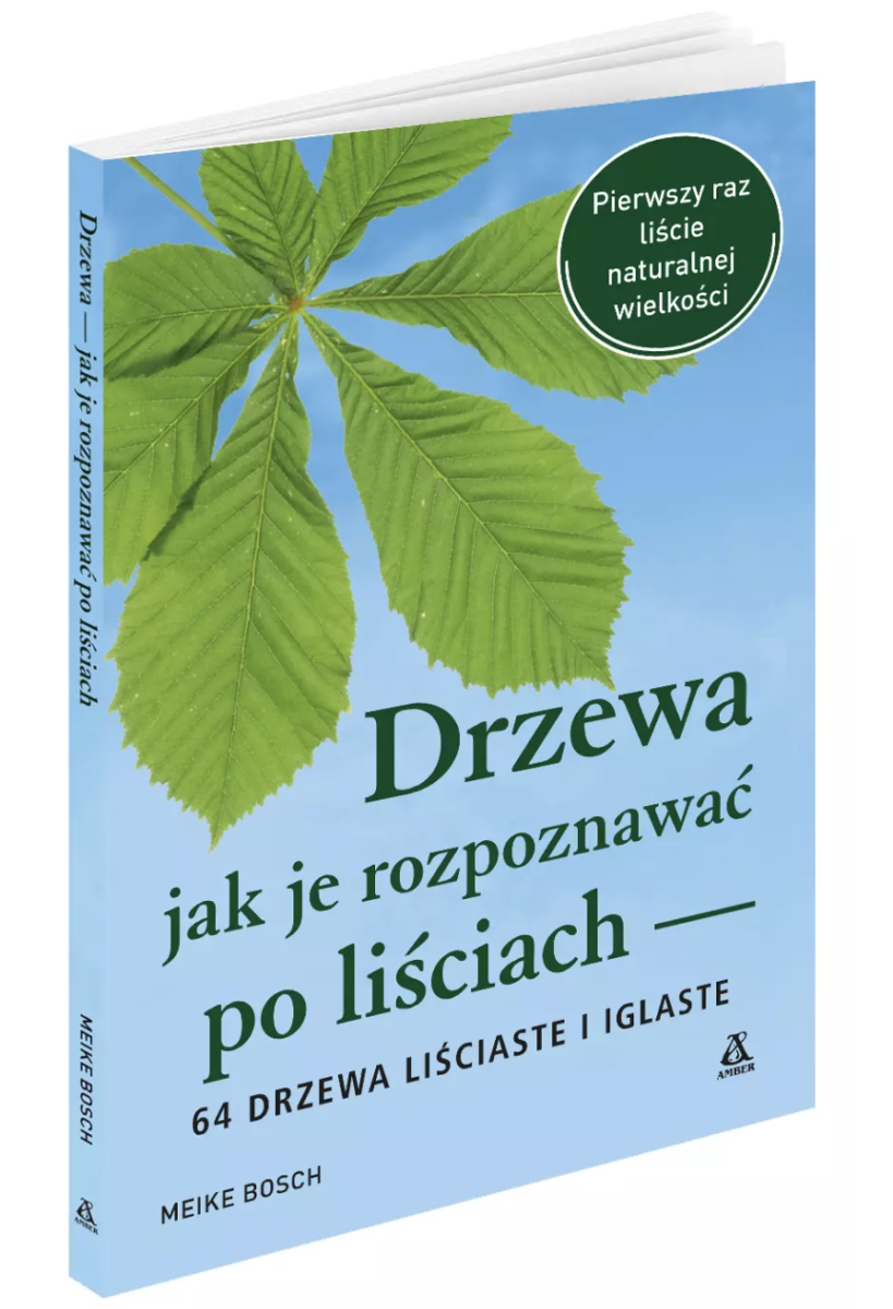Jadalne zioła i owoce lasów, łąk i pól - jak je rozpoznawać Jadalne zioła i owoce lasów, łąk i pól - jak je rozpoznawać