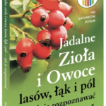 Jadalne zioła i owoce lasów, łąk i pól - jak je rozpoznawać
